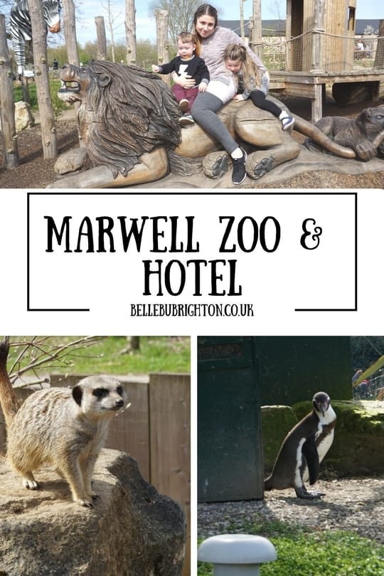 Marwell zoo review