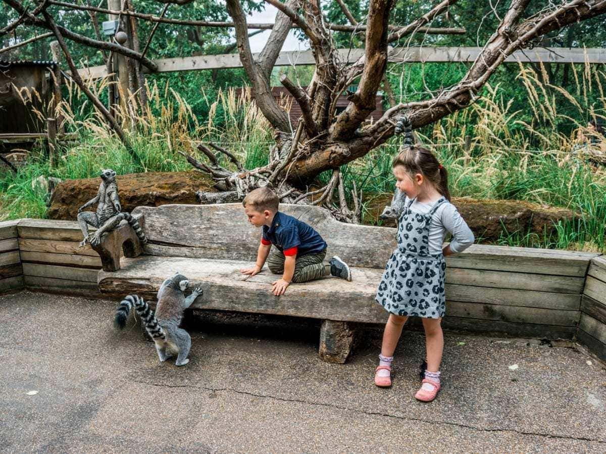 10 reasons to visit London Zoo