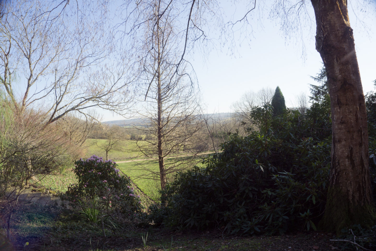 Standen House, National Trust Sussex