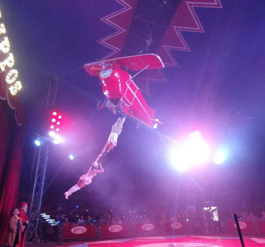 Zippos Circus